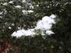 20210124134918-DSCN6423.JPG