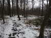 20210124135035-DSCN6424.JPG