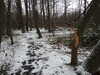 20210124135038-DSCN6425.JPG
