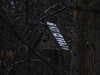 20210124135055-DSCN6426.JPG