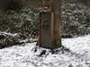 20210124135215-DSCN6431.JPG