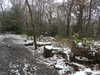 20210124135329-DSCN6435.JPG