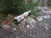 20210124135431-DSCN6437.JPG