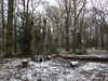 20210124135606-DSCN6438.JPG