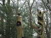 20210124135611-DSCN6439.JPG