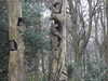 20210124135614-DSCN6440.JPG