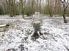 20210124135811-DSCN6444.JPG
