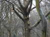20210124135908-DSCN6448.JPG