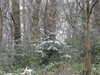 20210124135912-DSCN6449.JPG