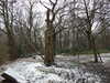 20210124135953-DSCN6450.JPG