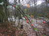 20210124140219-DSCN6455.JPG