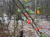 20210124140228-DSCN6456.JPG