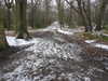 20210124140455-DSCN6457.JPG