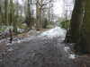 20210124140549-DSCN6458.JPG