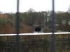 20210124141115-DSCN6467.JPG