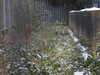 20210124141342-DSCN6473.JPG