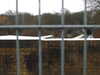 20210124141431-DSCN6475.JPG