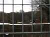 20210124141439-DSCN6477.JPG
