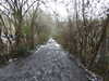 20210124141811-DSCN6483.JPG