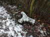 20210124141838-DSCN6484.JPG