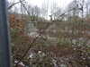 20210124141912-DSCN6485.JPG