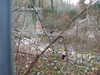 20210124141916-DSCN6486.JPG