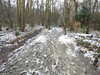20210124142144-DSCN6494.JPG