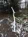 20210124142223-DSCN6496.JPG