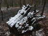 20210124142239-DSCN6497.JPG