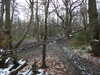 20210124142244-DSCN6498.JPG