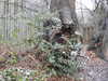 20210124142342-DSCN6499.JPG