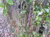 20210124142431-DSCN6501.JPG