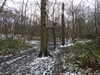 20210124142551-DSCN6502.JPG
