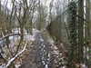 20210124142634-DSCN6503.JPG