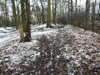 20210124142810-DSCN6506.JPG