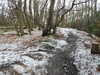 20210124142905-DSCN6508.JPG