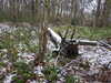20210124142948-DSCN6510.JPG