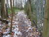 20210124142951-DSCN6511.JPG