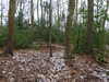 20210124143021-DSCN6512.JPG