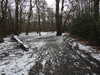 20210124143312-DSCN6514.JPG