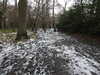 20210124143615-DSCN6517.JPG