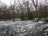 20210124143648-DSCN6518.JPG