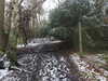 20210124143709-DSCN6519.JPG