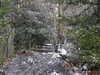 20210124143906-DSCN6523.JPG