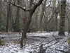 20210124143958-DSCN6524.JPG