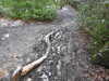 20210124144336-DSCN6529.JPG
