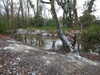 20210124144439-DSCN6532.JPG