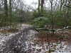 20210124144541-DSCN6535.JPG