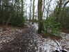 20210124144622-DSCN6536.JPG