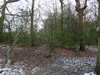 20210124144716-DSCN6537.JPG